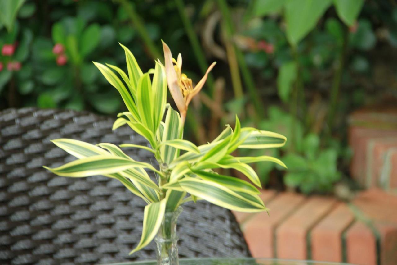 Hotel Casa Colonial บาร์รังกีญา ภายนอก รูปภาพ